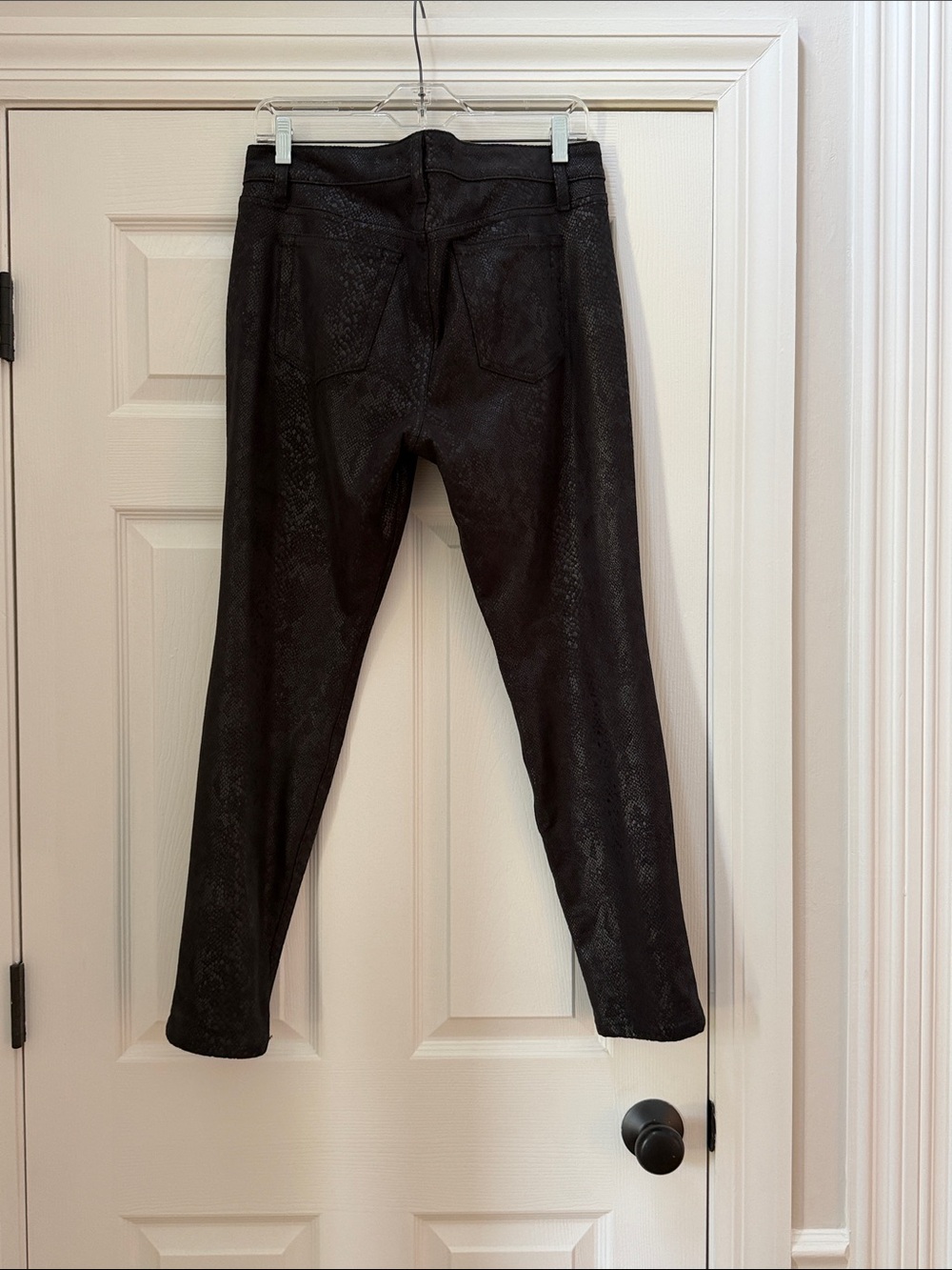 Joes Python Pants - Picture 9 of 10